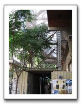 IMG_2148