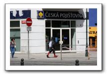IMG_4511