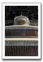 IMG_4561