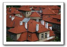 IMG_4921