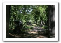 IMG_5074
