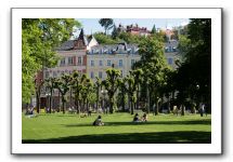 IMG_5251