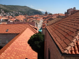 IMG_1275