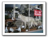 Former local fauna