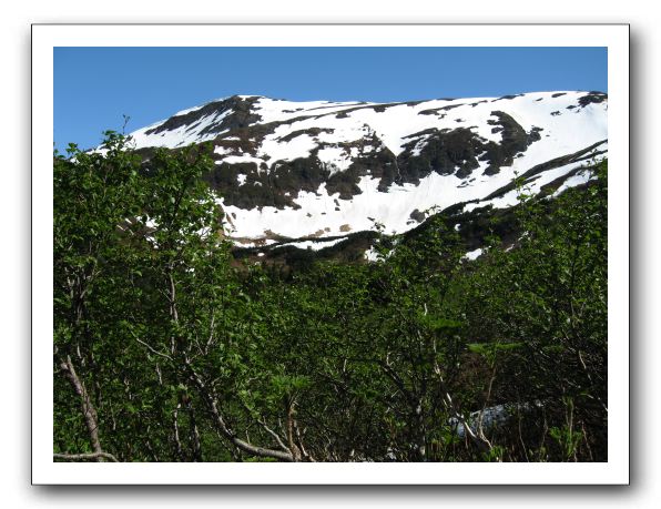 above Juneau