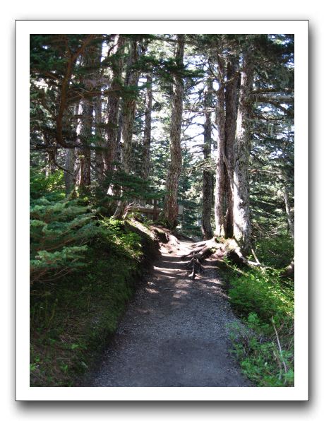 Hiking trail