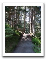 Hiking trail