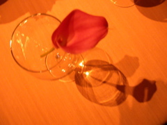 DSCN1599.JPG