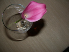 DSCN1600.JPG