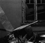 06-backyard_series_01