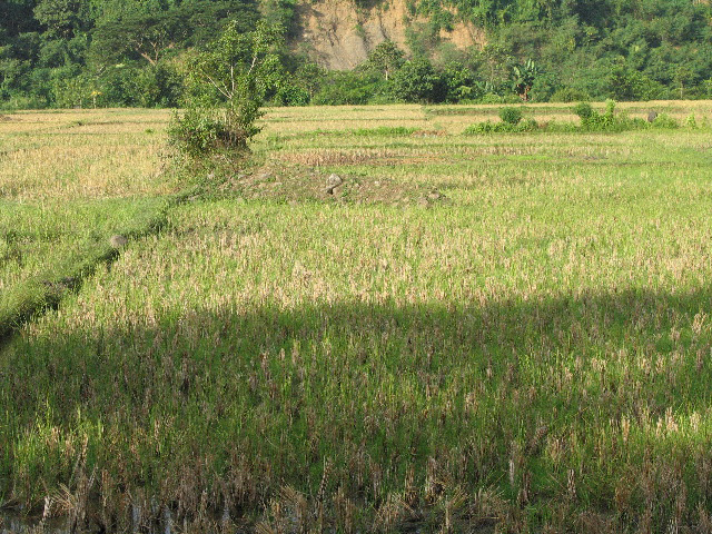 IMG_1544.JPG