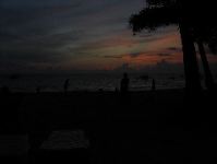 IMG_1317.JPG